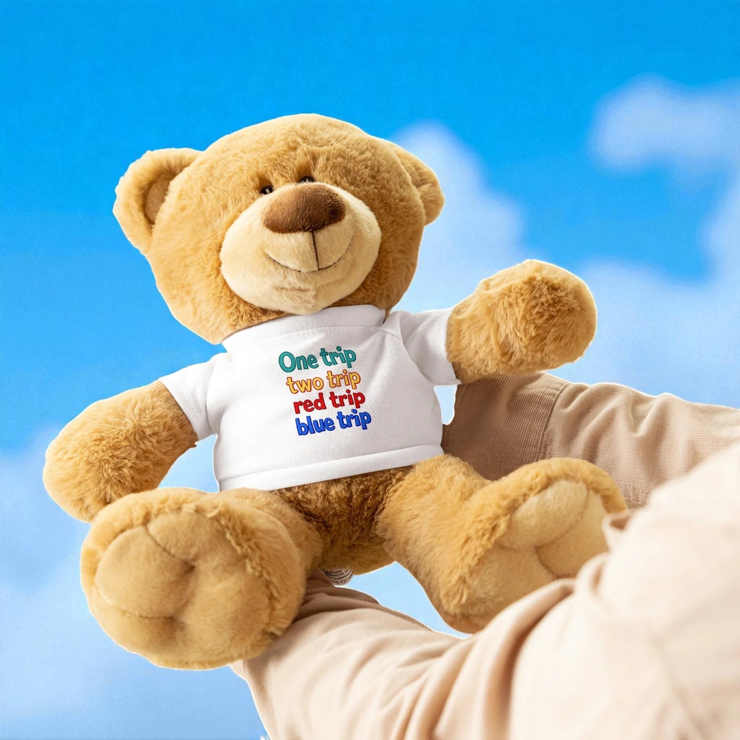 Teddy bear wearing a white t-shirt with colorful text against a blue sky background