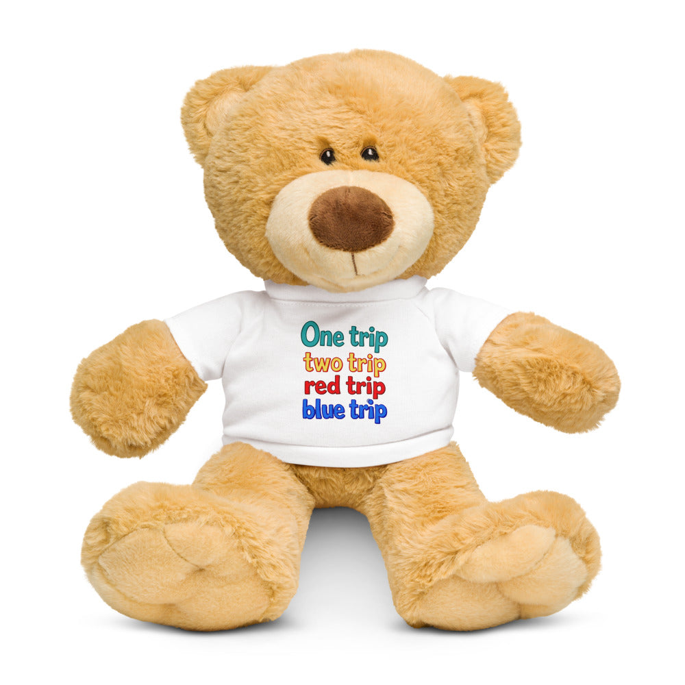 Teddy bear wearing a white shirt with colorful text on a white background