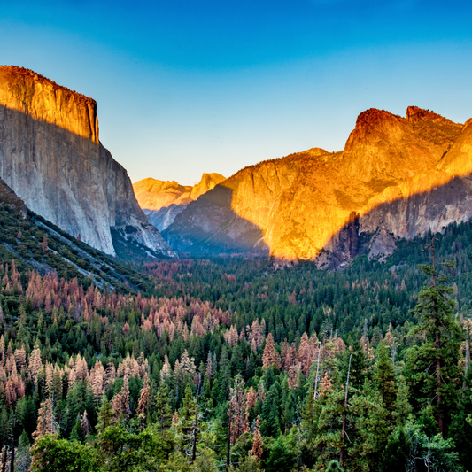 Why Yosemite Needs to Be on Your Travel Bucket List