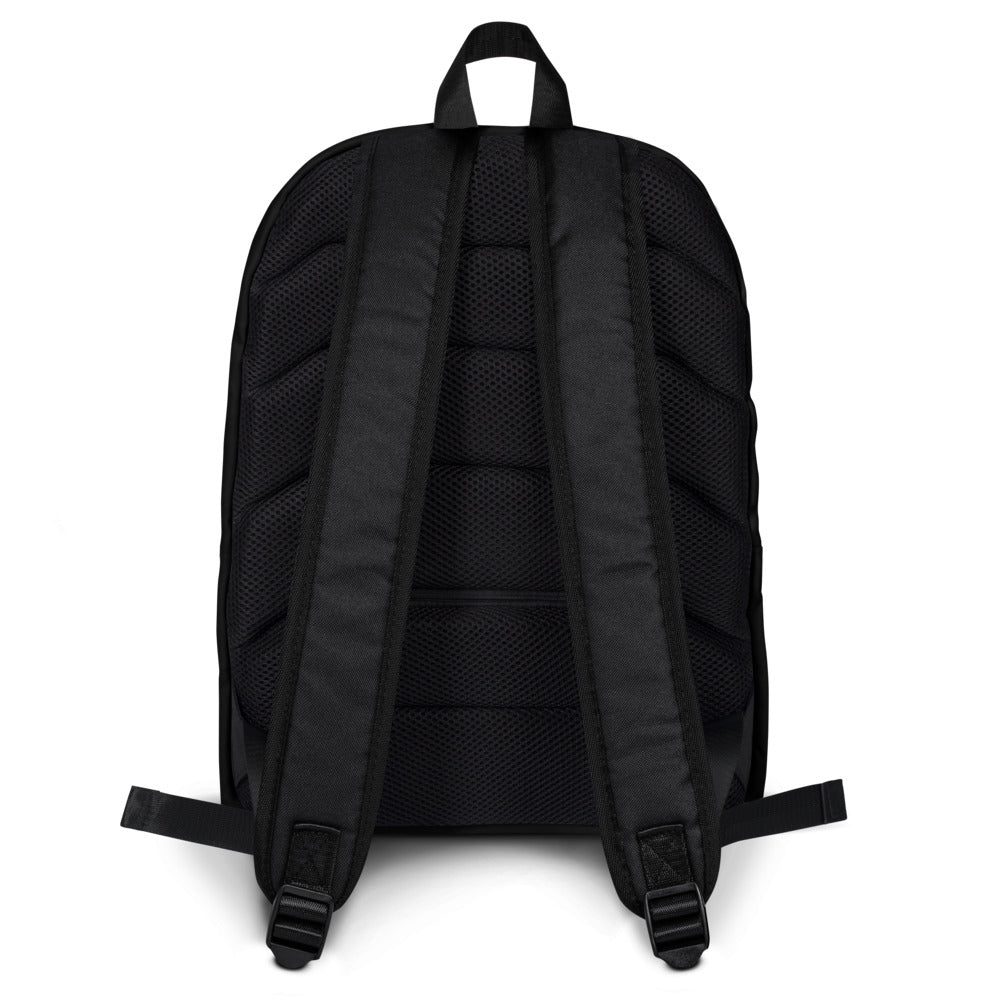 Black backpack shown from the back on a white background