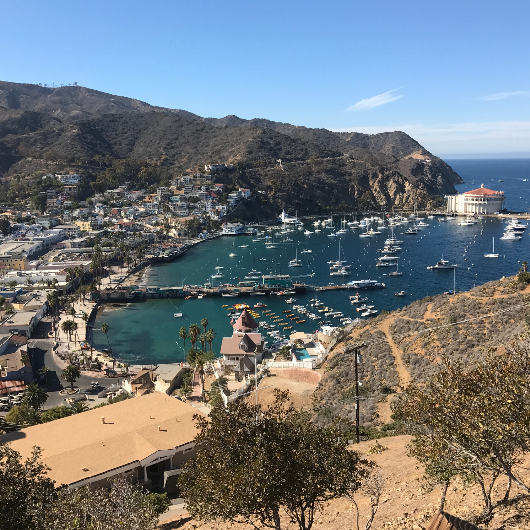 5 best things to do on catalina island